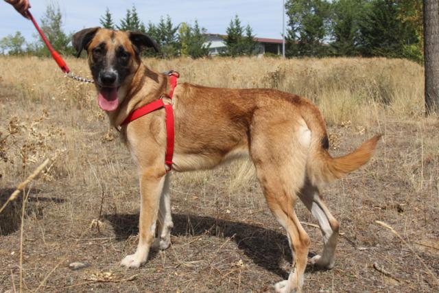 multimedia-foto40739-522-3