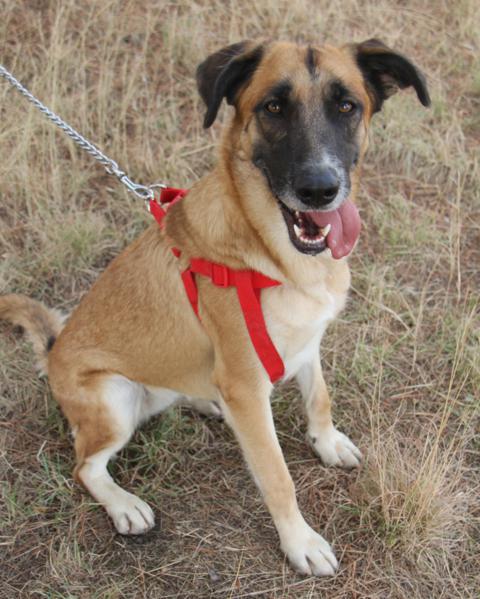 multimedia-foto40740-522-3