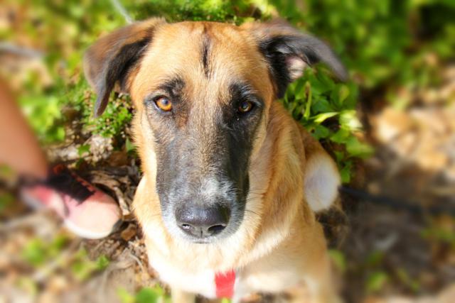 multimedia-foto40741-522-3