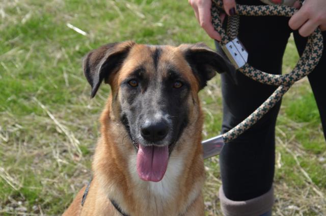 multimedia-foto40743-523-3