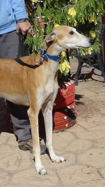 multimedia-foto40756-689-3