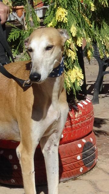 multimedia-foto40757-689-3