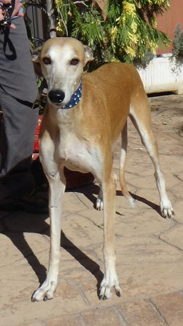 multimedia-foto40758-689-3