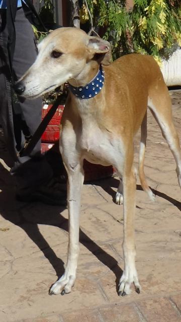 multimedia-foto40759-689-3