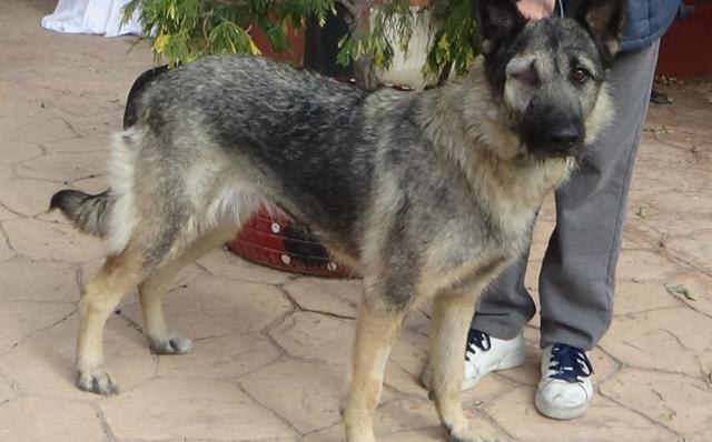 multimedia-foto40776-390-3