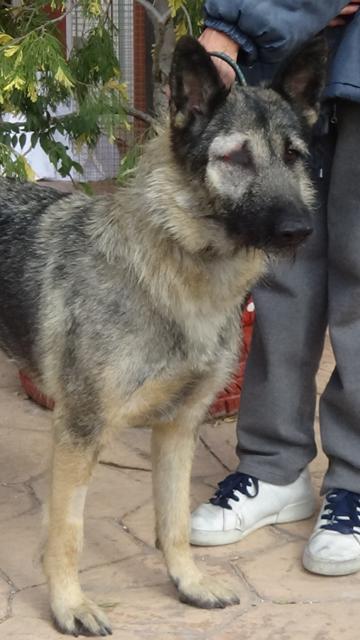 multimedia-foto40777-390-3