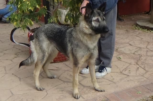 multimedia-foto40778-390-3