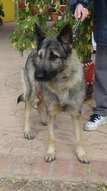 multimedia-foto40779-390-3