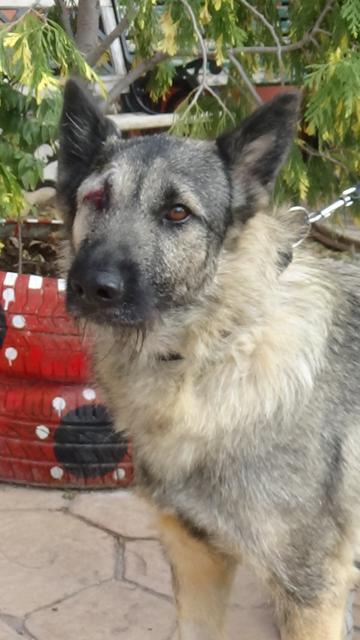 multimedia-foto40780-391-3