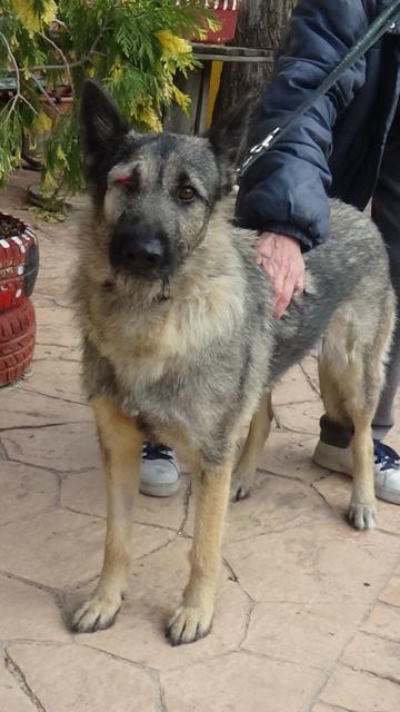 multimedia-foto40781-391-3