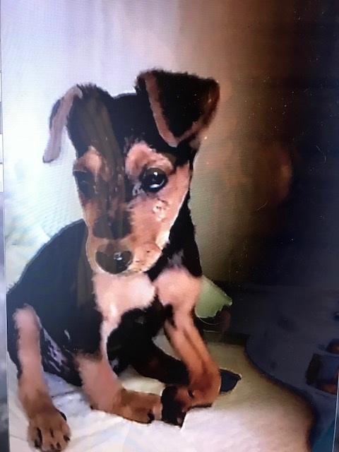 multimedia-foto40785-799-3