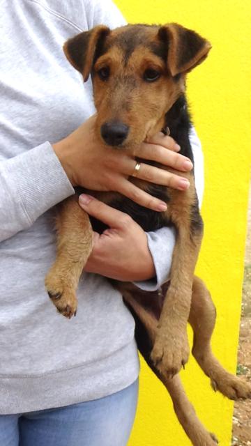 multimedia-foto40786-800-3