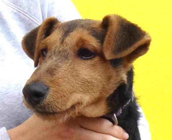 multimedia-foto40787-800-3