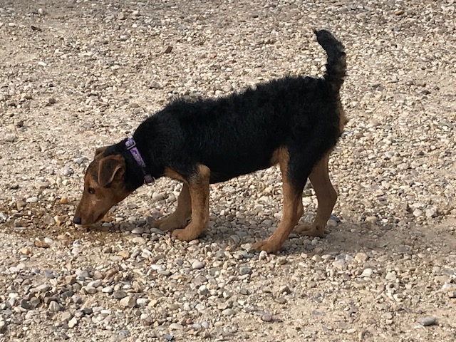 multimedia-foto40788-800-3