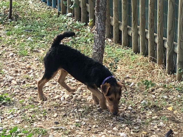 multimedia-foto40789-800-3