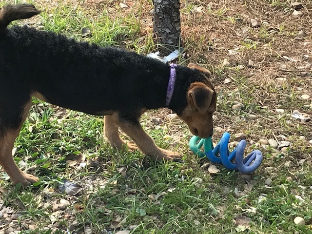 multimedia-foto40790-800-3