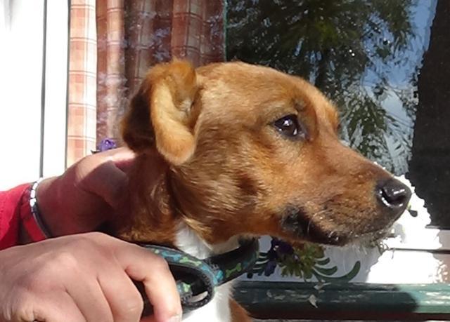 multimedia-foto40819-499-3