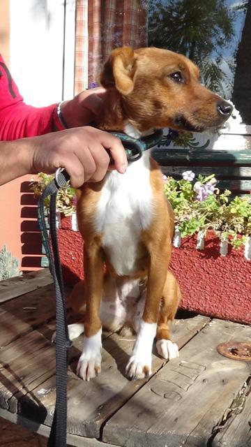 multimedia-foto40820-499-3