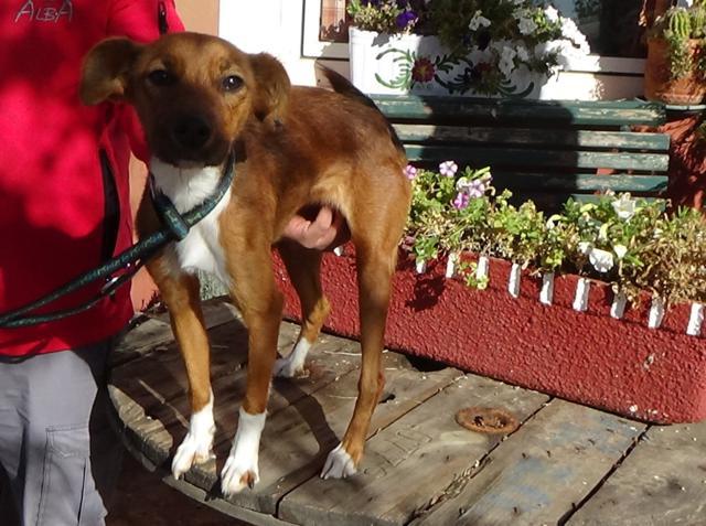 multimedia-foto40821-500-3