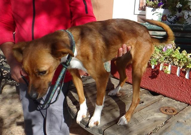 multimedia-foto40822-500-3