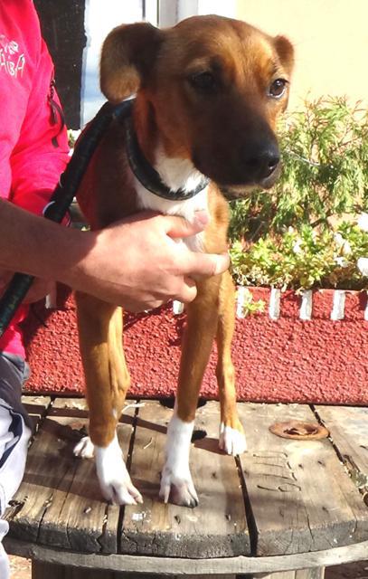 multimedia-foto40823-500-3