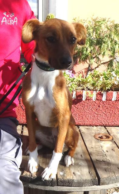 multimedia-foto40824-500-3