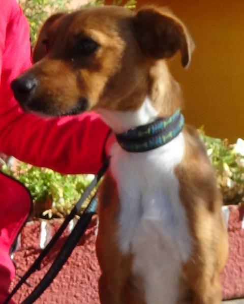 multimedia-foto40825-500-3