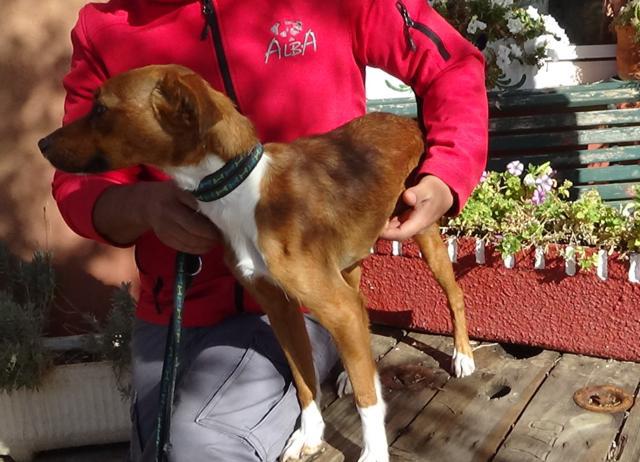 multimedia-foto40826-500-3