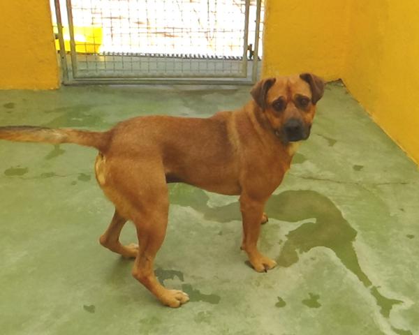 multimedia-foto40833-168-3