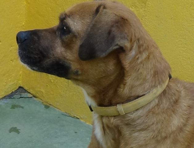 multimedia-foto40836-169-3