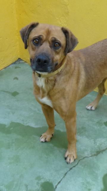 multimedia-foto40837-169-3