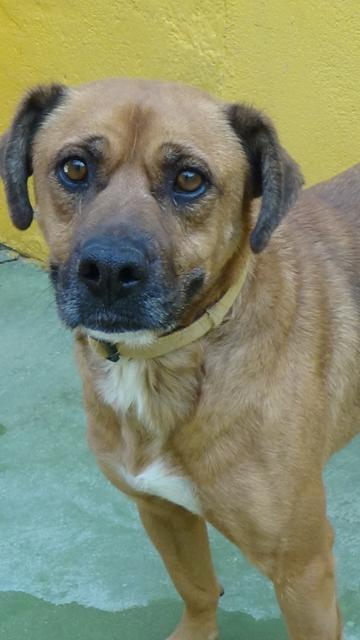 multimedia-foto40838-169-3