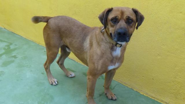 multimedia-foto40839-169-3