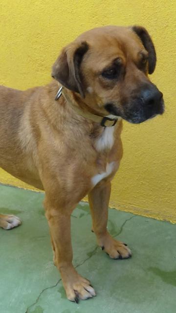 multimedia-foto40840-169-3