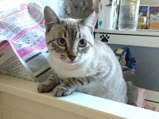 multimedia-foto40883-773-3