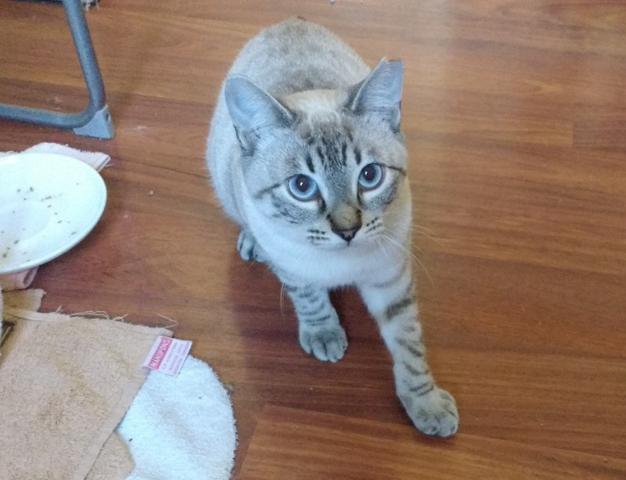 multimedia-foto40884-796-3