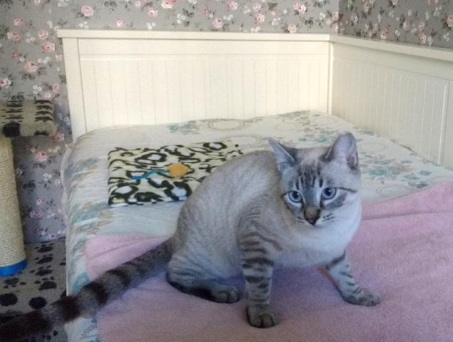 multimedia-foto40885-796-3