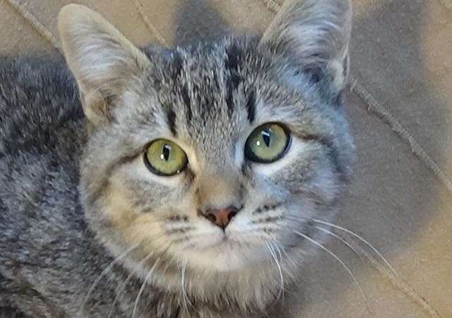 multimedia-foto40889-669-3