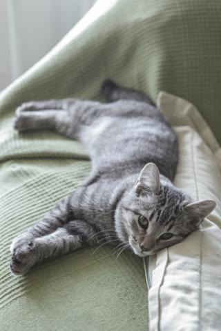 multimedia-foto40890-669-3