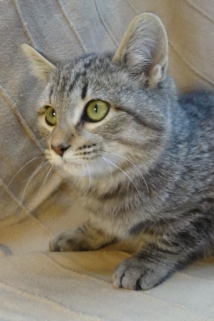 multimedia-foto40891-669-3