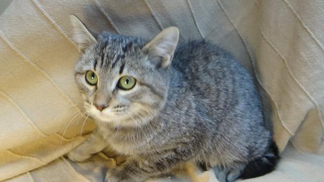 multimedia-foto40892-669-3