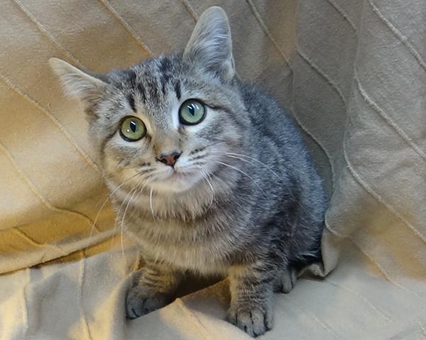 multimedia-foto40893-692-3