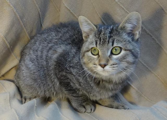 multimedia-foto40894-692-3