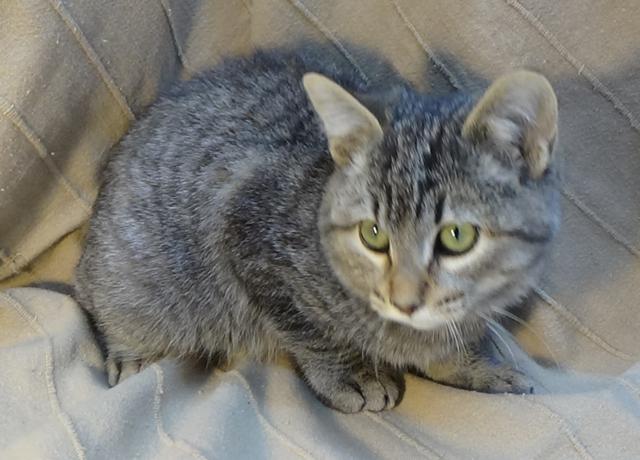 multimedia-foto40895-692-3