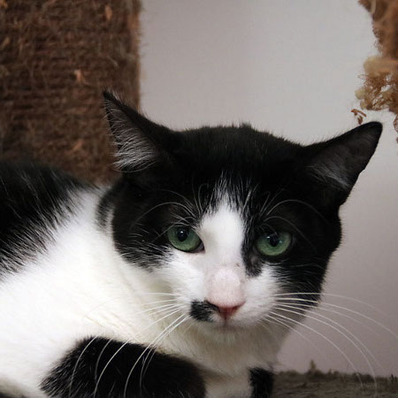 multimedia-foto40913-563-3