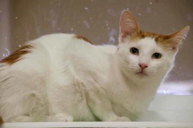 multimedia-foto40924-991-3