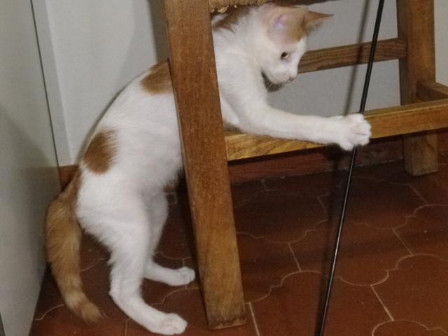 multimedia-foto40925-991-3