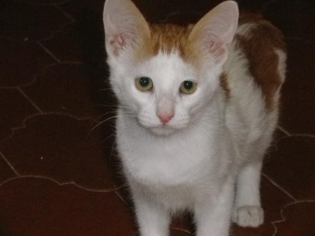 multimedia-foto40927-991-3