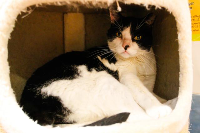 multimedia-foto40938-326-3