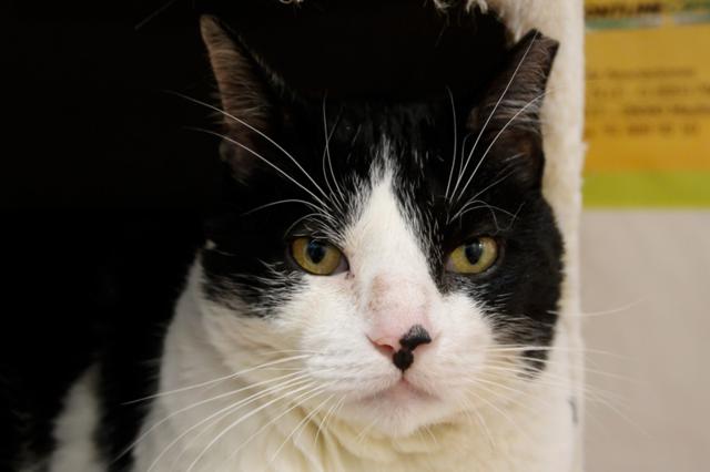 multimedia-foto40939-326-3